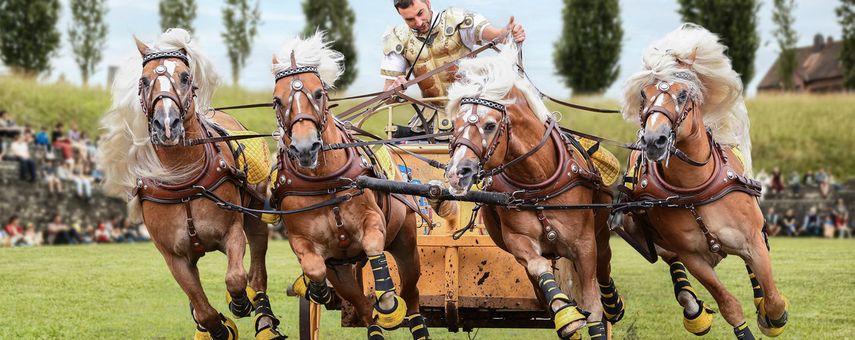 Römertag Vindonissa