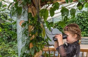 Entdeckertour für Kids mit Murmeli Lili: Zaubertränke