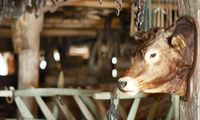 Eintauchen in eine Märliwelt: «Tischlein deck dich» – Geschichtennachmittag im Schaudepot St. Katharinental