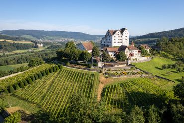 Internationaler Museumstag