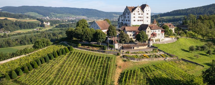 Internationaler Museumstag