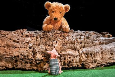 PU DER BÄR PU DER BÄR