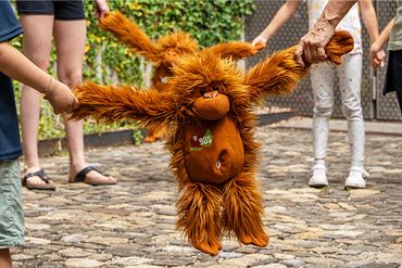 Kurzworkshops am Welt-Orang-Utan-Tag
