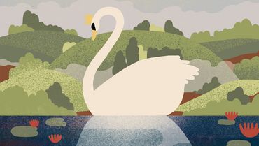 2. Familienkonzert – Der Schwanensee