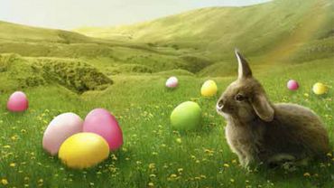 OLEA Familienbrunch mit Osterhase