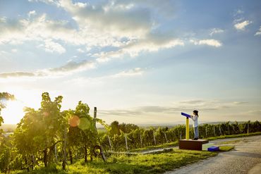 24 Stops - Sommerfest