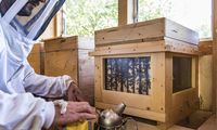 Offenes Bienenhaus