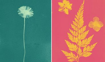 Familienworkshop: Malen mit Licht - Cyanotypie