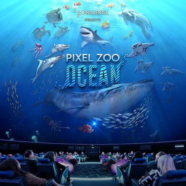 Pixel Zoo™ Ocean - Das grösste digitale Aquarium Europas