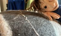 ALS DIE STEINE NOCH VÖGEL WAREN