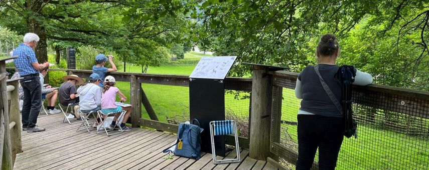 Zeichnen im Tierpark: Kurs für Familien