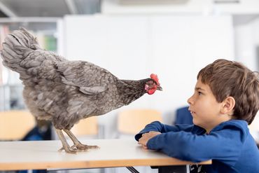Tiertrainer für einen Tag – Der tierische Kindergeburtstag mit Filmflair!