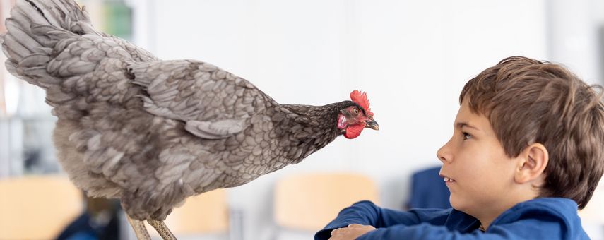 Tiertrainer für einen Tag – Der tierische Kindergeburtstag mit Filmflair!