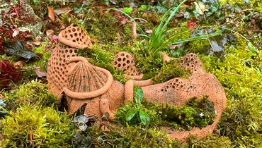 Mission Mini-Wildnis - Baue deine eigene Pflanzeninsel!