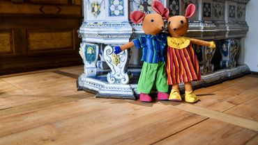 Wintermäuse und ihre Tricks gegen das Erfrieren