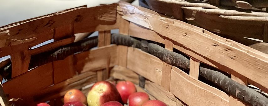 Vom Apfel zum Saft
