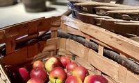 Vom Apfel zum Saft