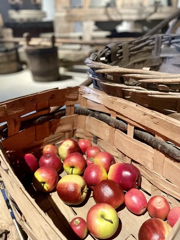 Vom Apfel zum Saft Vom Apfel zum Saft