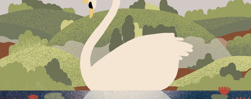 2. Familienkonzert – Der Schwanensee