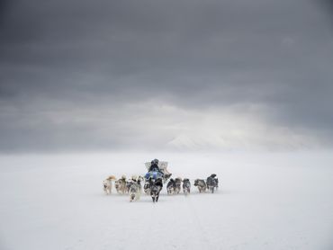 Arktis-Tag. Ein cooler Familiensonntag rund um die Arktis