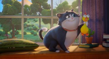 Familienfilm «Alles für die Katz» Familienfilm «Alles für die Katz»